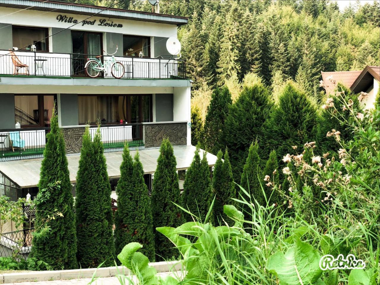 Willa Pod Losiem Krynica-Zdrój Exteriér fotografie